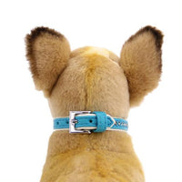 Sparkle Gemstone Dog Collar - Bluebird