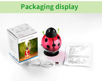 USB Beetle Humidifie - Aroma Diffuser