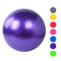 Home Exercise Workout Fitness Gym Yoga Ball