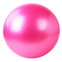 Home Exercise Workout Fitness Gym Yoga Ball