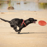 Eco-friendly Pet Product Natural Rubber Material Pet Dog Toy Frisbee Dog Training Fetch Toys Dogs Training Flying